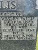 Wesley Fallis (I2684)