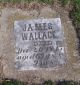 James Wallace (I441)